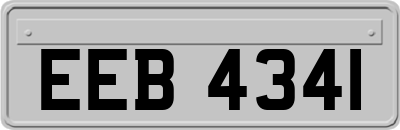 EEB4341