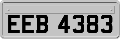 EEB4383