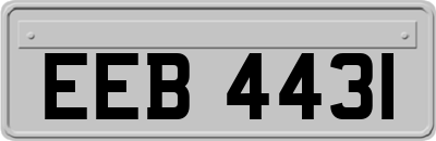 EEB4431
