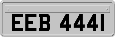 EEB4441