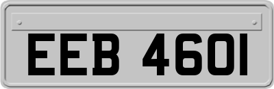EEB4601