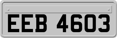 EEB4603