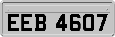EEB4607
