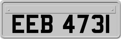 EEB4731