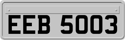 EEB5003