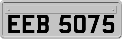 EEB5075