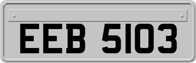 EEB5103