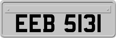 EEB5131
