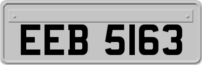 EEB5163