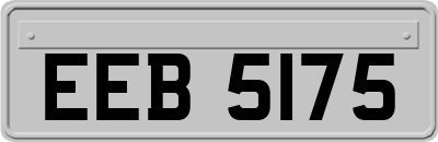 EEB5175