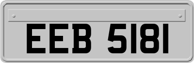EEB5181