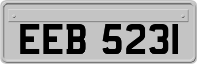 EEB5231