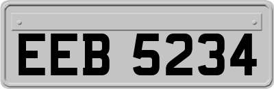 EEB5234