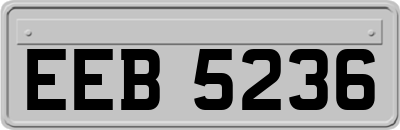 EEB5236