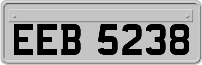 EEB5238