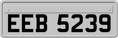 EEB5239