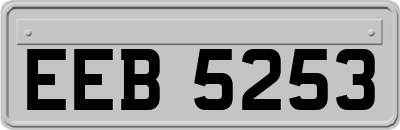 EEB5253