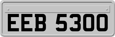 EEB5300