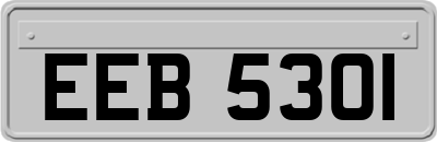 EEB5301