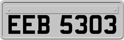 EEB5303