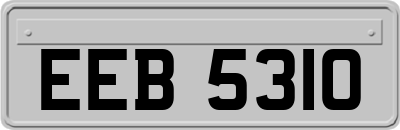 EEB5310