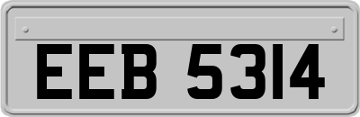 EEB5314