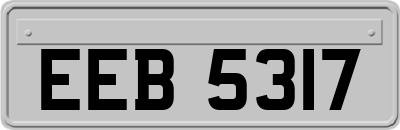 EEB5317