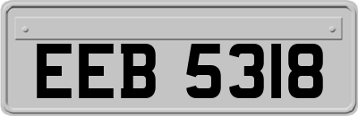 EEB5318