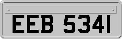 EEB5341