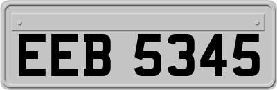 EEB5345