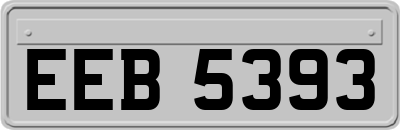 EEB5393