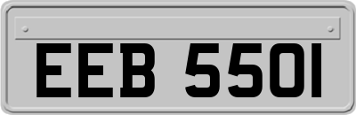 EEB5501