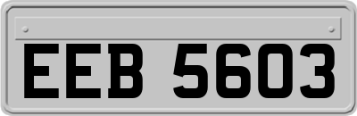 EEB5603