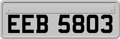 EEB5803