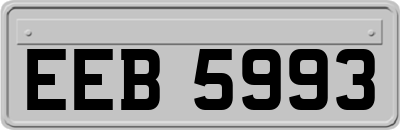 EEB5993