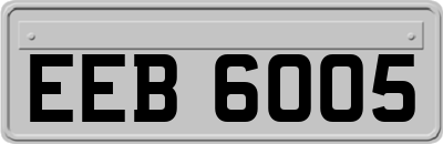 EEB6005