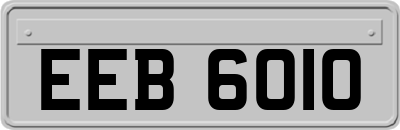 EEB6010