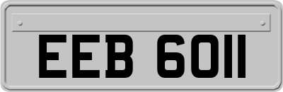 EEB6011