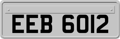 EEB6012