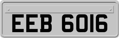 EEB6016