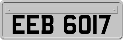 EEB6017