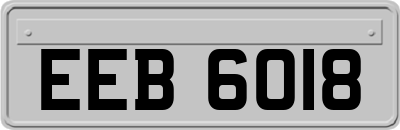 EEB6018