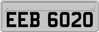 EEB6020