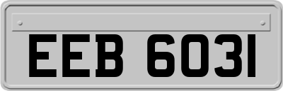 EEB6031