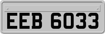 EEB6033