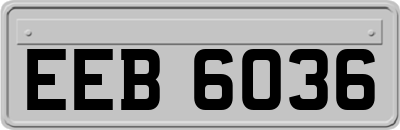 EEB6036