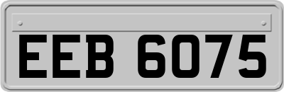 EEB6075