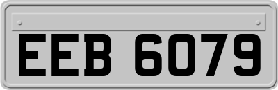 EEB6079