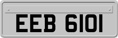EEB6101