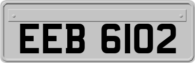 EEB6102